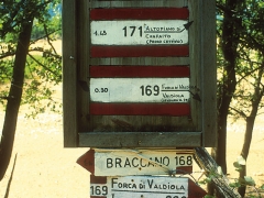 1209-1911 W