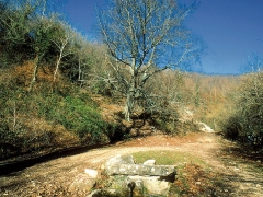 1201-2805 W
