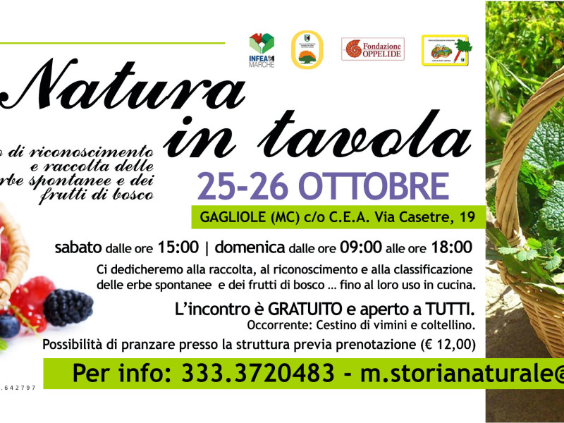 CORSO ERBE SPONTANEE